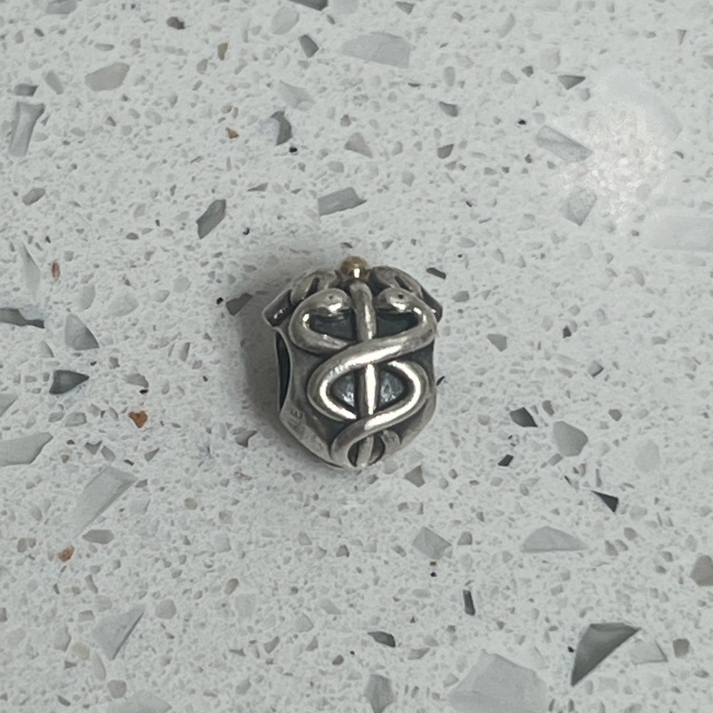 COPY - Pandora Charm-Discontinued Life Saver